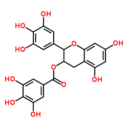 Green Tea Extract (Polyphenols)