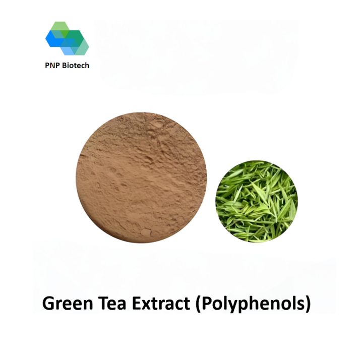 Green Tea Extract (Polyphenols)