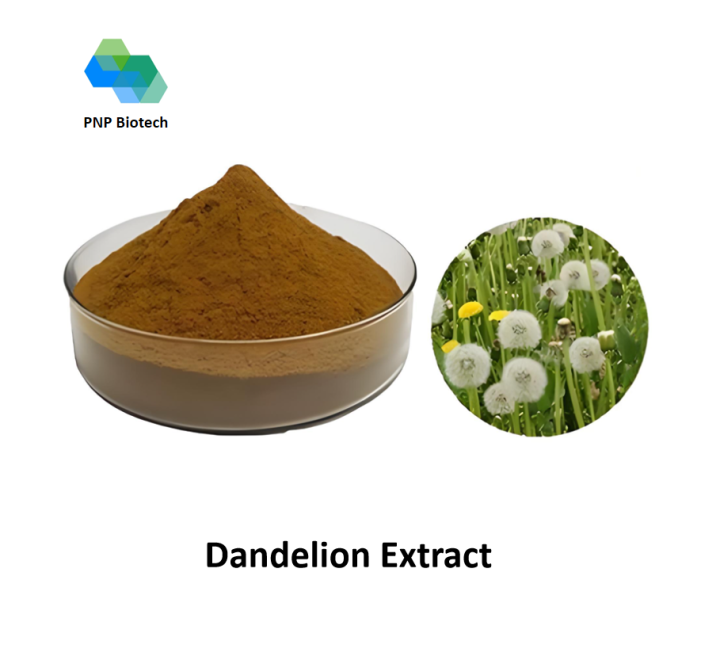 Dandelion Extract