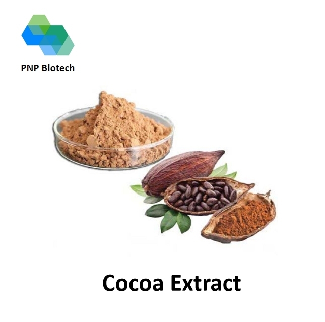 Cocoa Extract