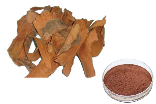 Yohimbe Bark Extract