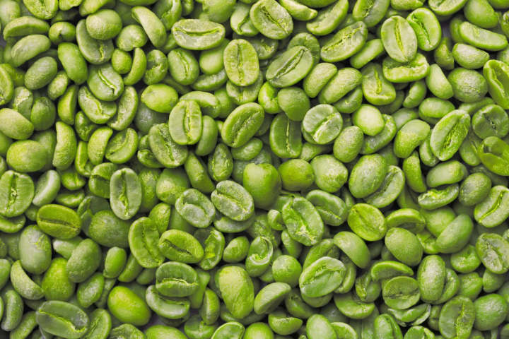 Green Coffee Bean Extract (Chlorogenic Acid）