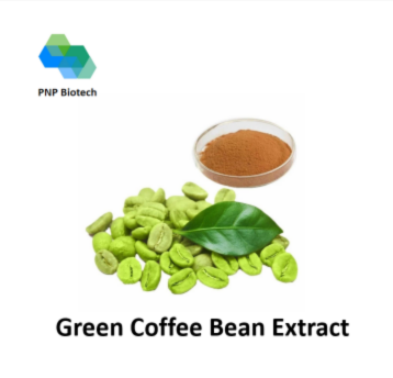 Green Coffee Bean Extract (Chlorogenic Acid）