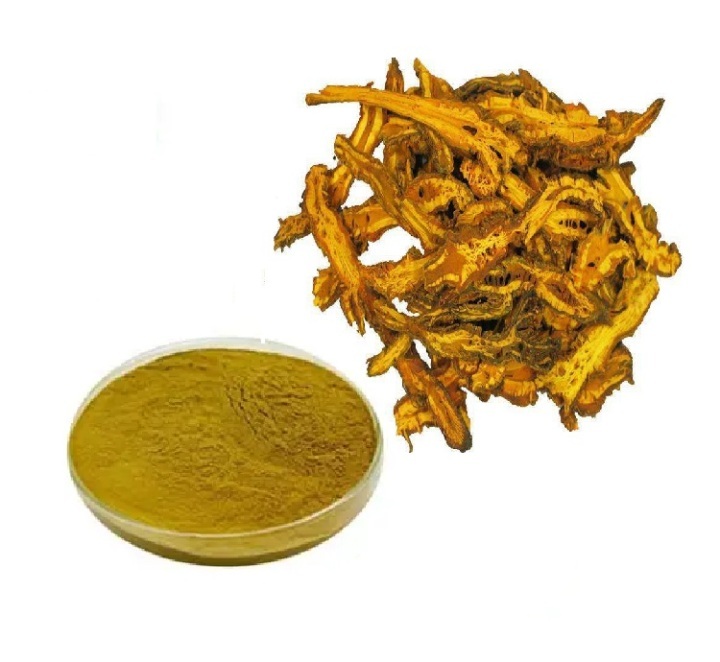 Coptis Chinensis Extract