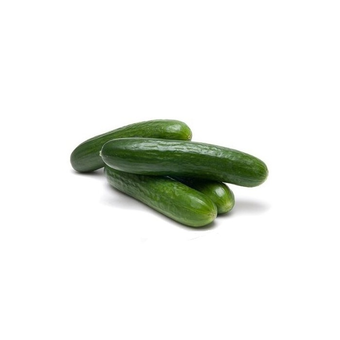 Cucumber Extract