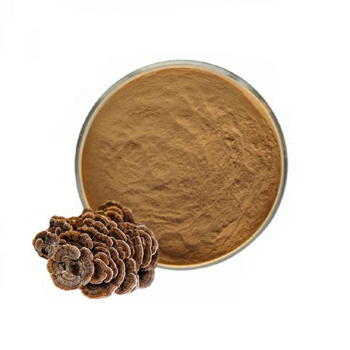 Turkey Tail Extract