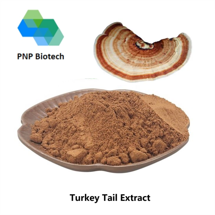 Turkey Tail Extract