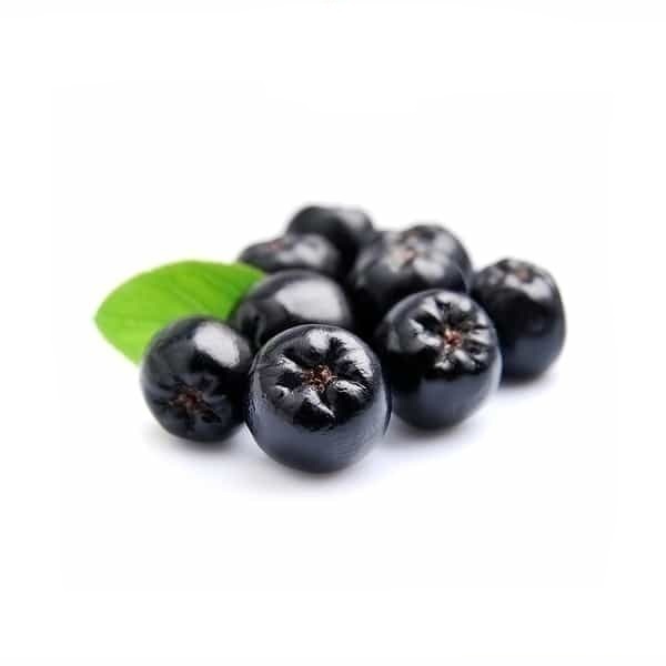 Aronia Extract