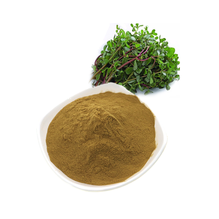 Bacopa Monnieri Extract