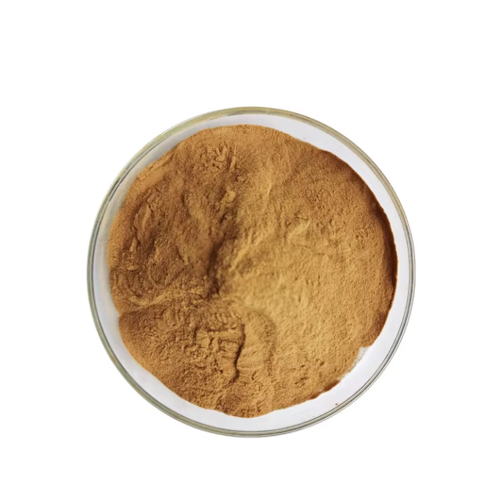 Bacopa Monnieri Extract