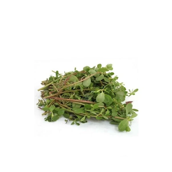 Bacopa Monnieri Extract