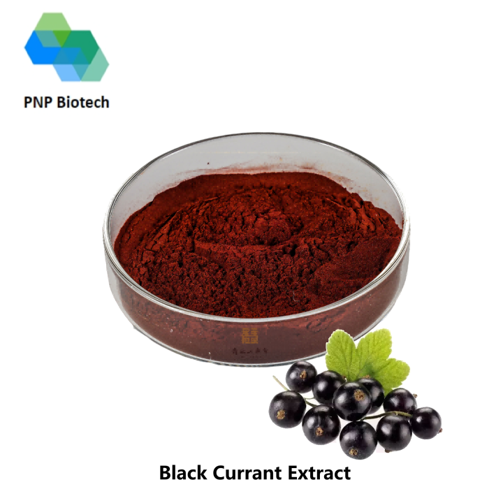 Black Currant extract
