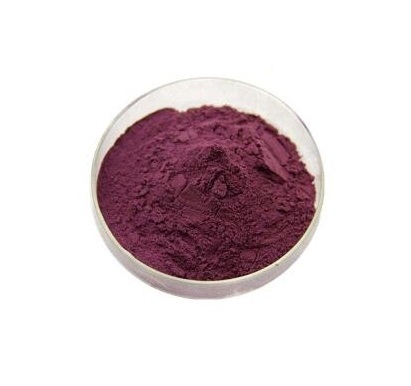 Black Currant extract