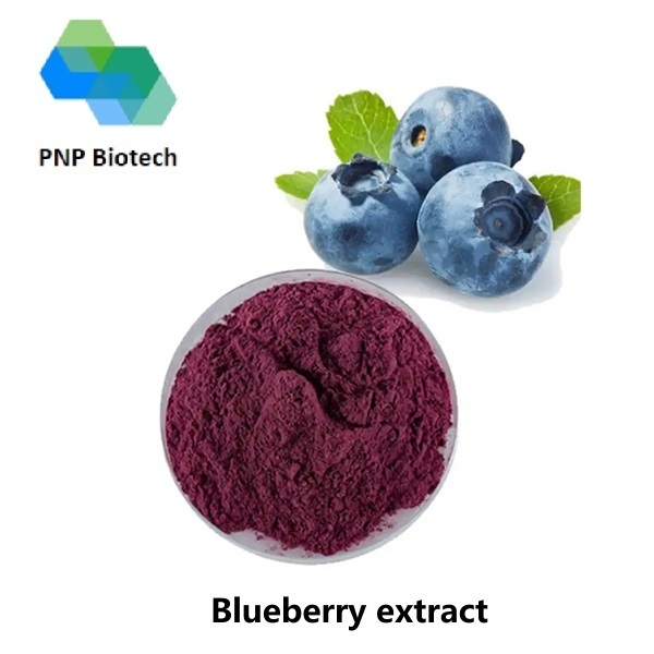 Blueberry Extract