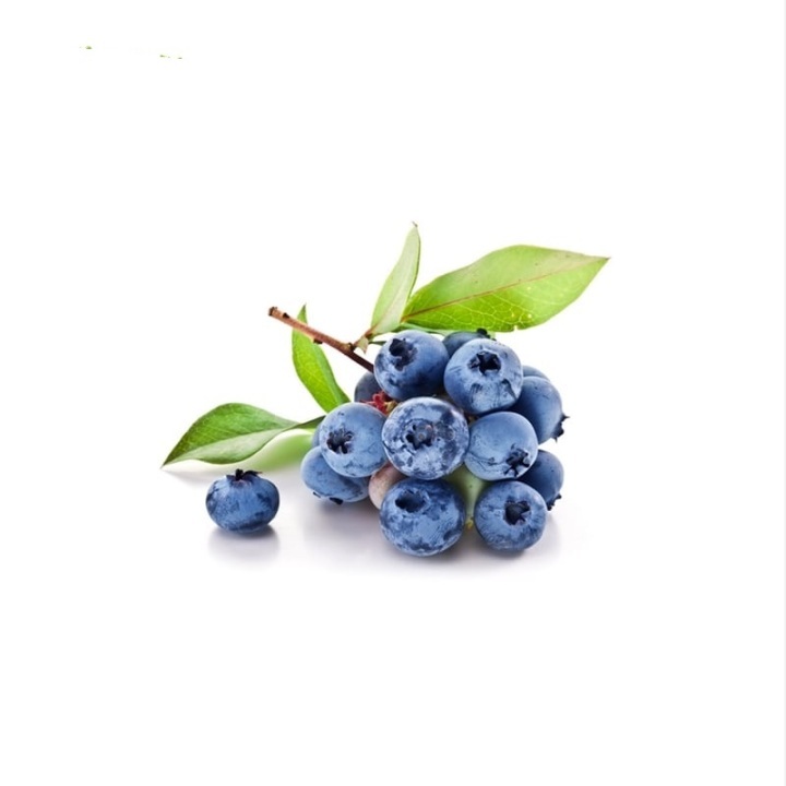 Blueberry Extract