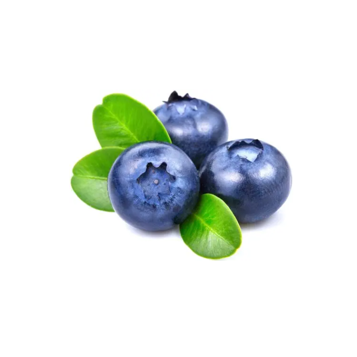 Blueberry Juice Powder
