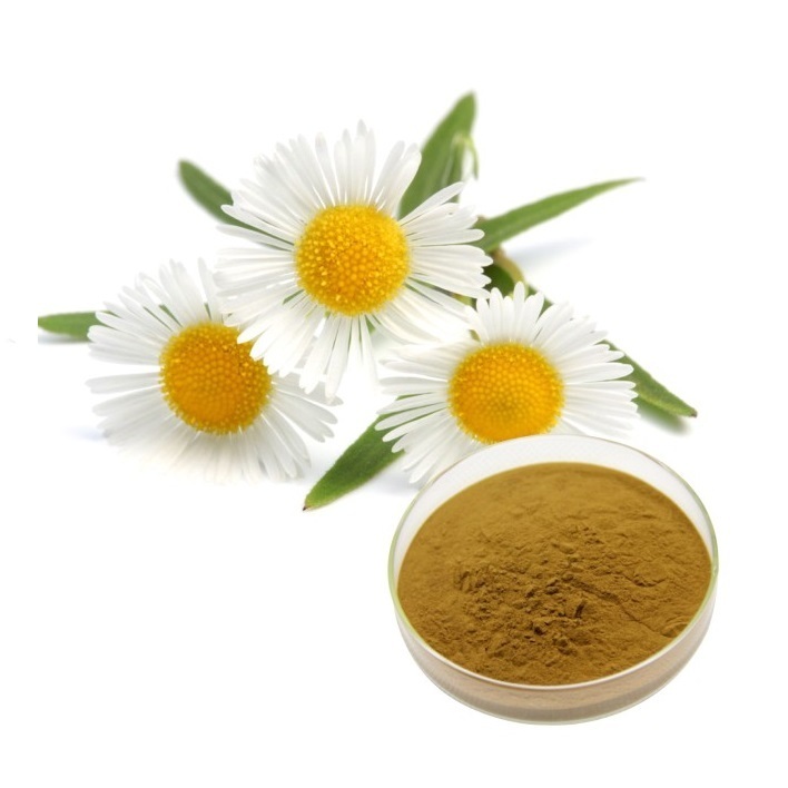 Chamomile Extract