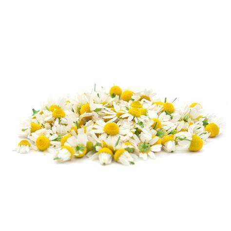 Chamomile Extract