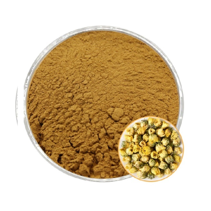 Chrysanthemum Extract