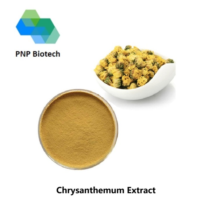 Chrysanthemum Extract