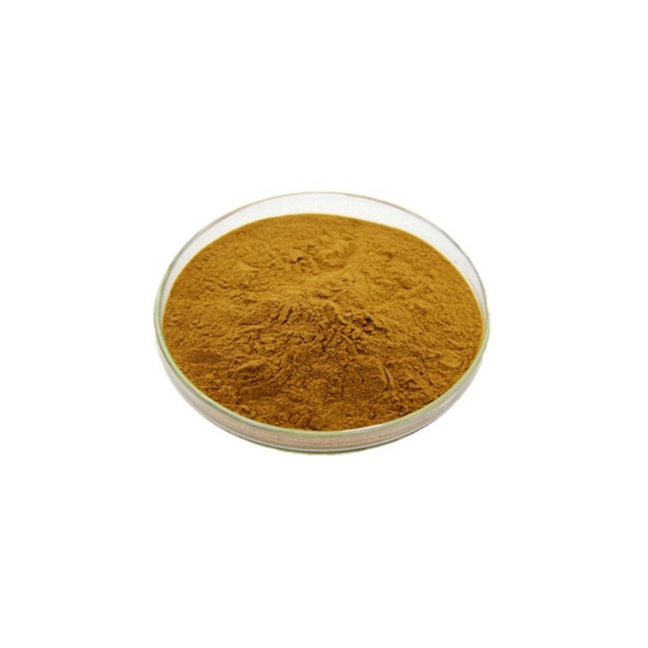 Chrysanthemum Extract