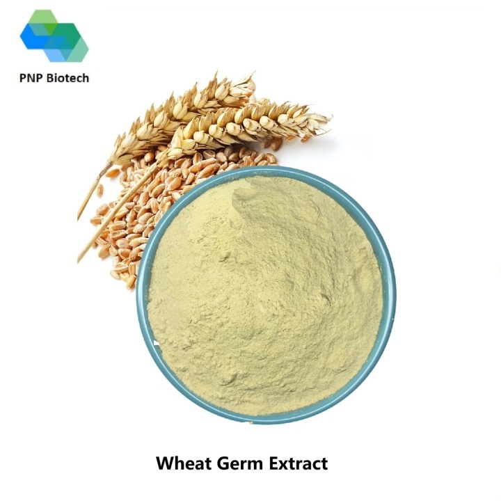 Wheat Germ Extract