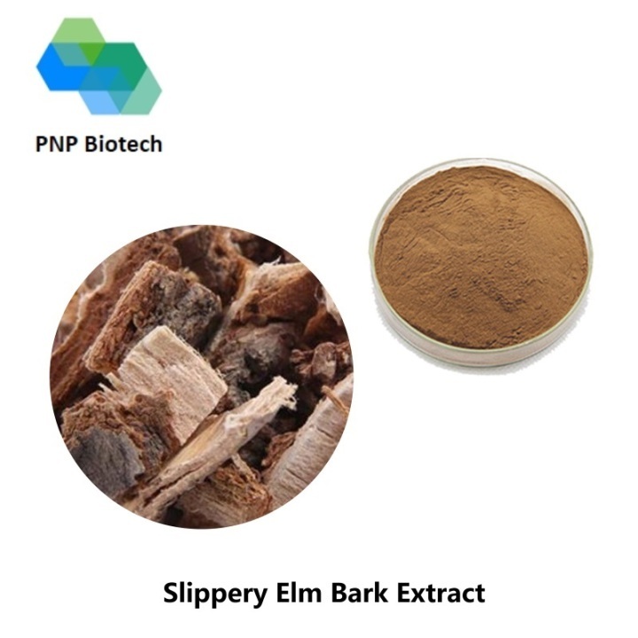Slippery Elm Bark Extract