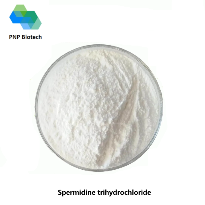 Spermidine trihydrochloride