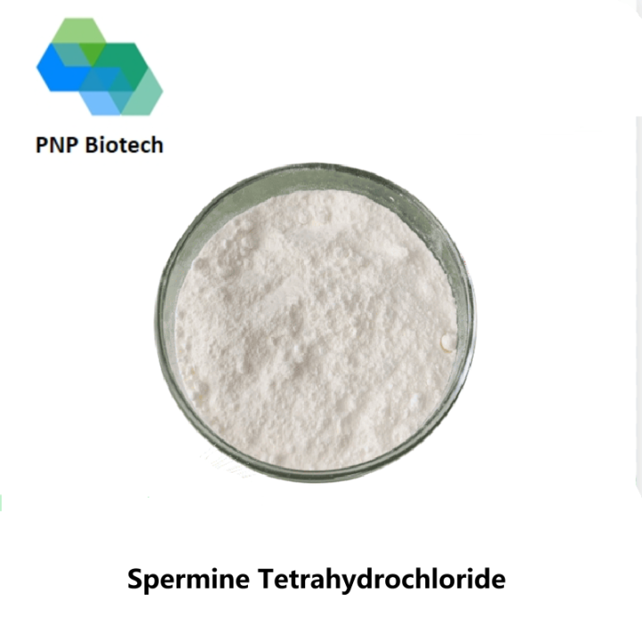 Spermine Tetrahydrochloride