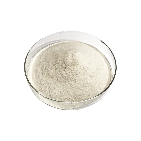 Guar Gum Powder