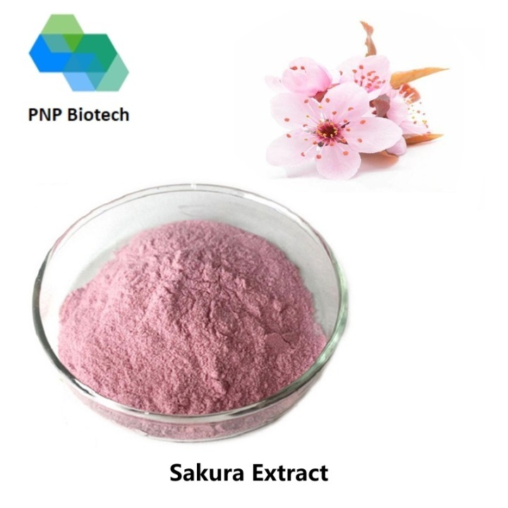 Sakura Extract