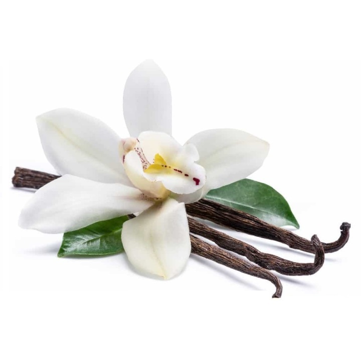 Vanilla Flavor Powder