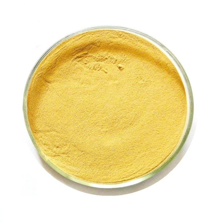 Fisetin Extract