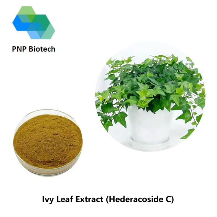 Ivy Leaf Extract (Hedera Helix) Hederacoside C