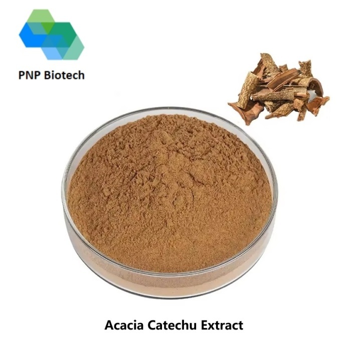 Acacia Catechu Extract