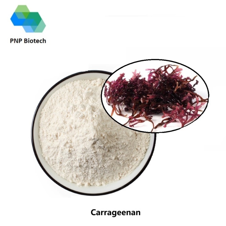 Carrageenan