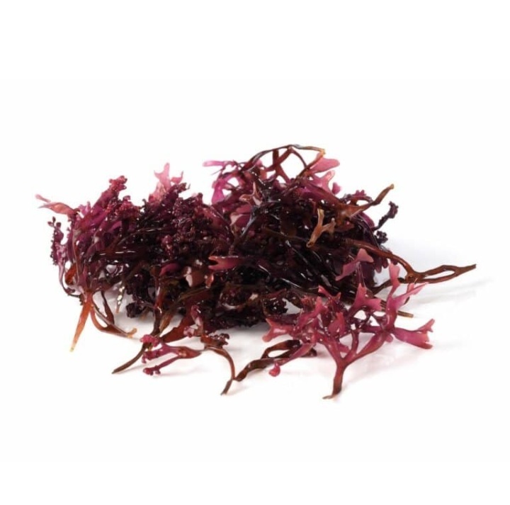Carrageenan