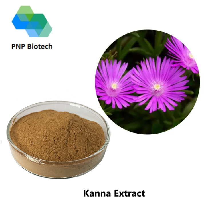 Kanna Extract