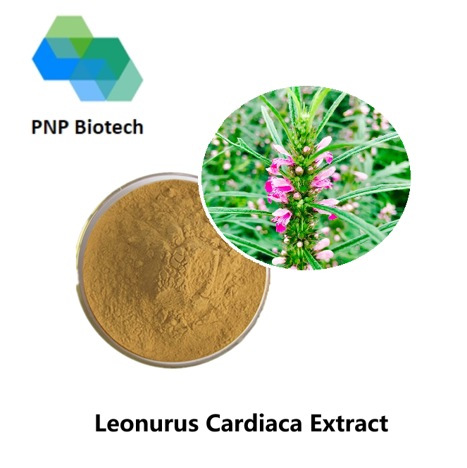 Leonurus Cardiaca Extract