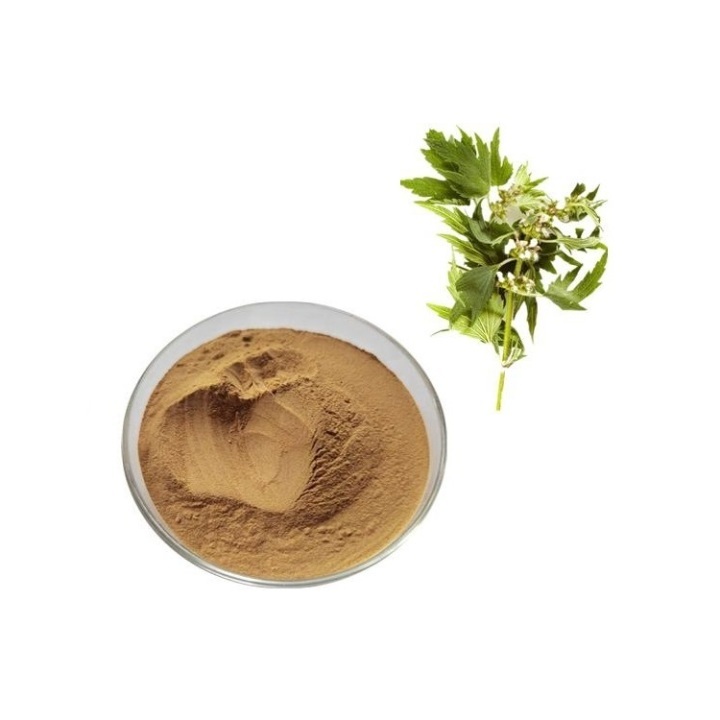 Leonurus Cardiaca Extract