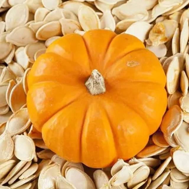Pumpkin Seed Extract