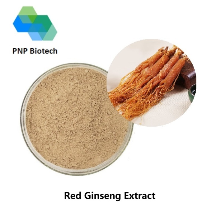 Red Ginseng Extract