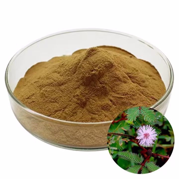 Mimosa Pudica Root Bark Extract