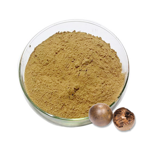 Siraitia Grosvenorii Extract 