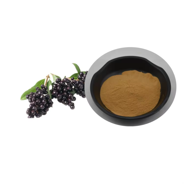 Fructus Ligustri Lucidi Powder