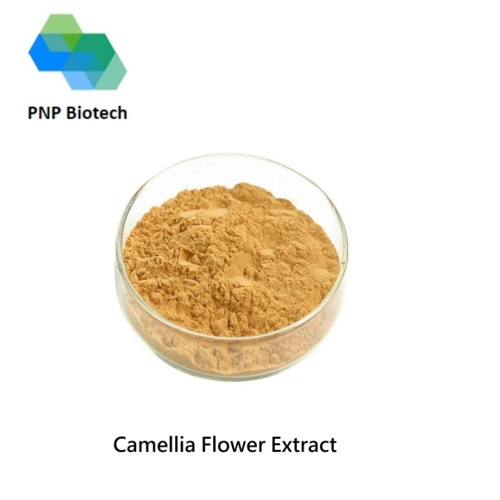 Camellia Flower Extract