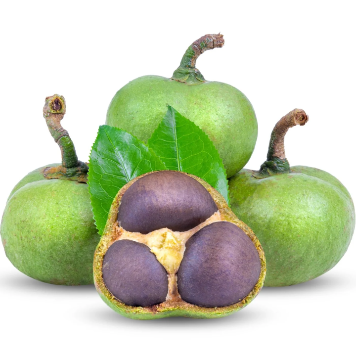 Camellia Seed Extract
