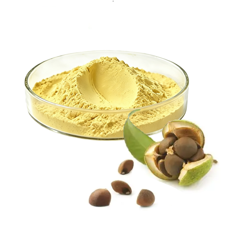 Camellia Seed Extract