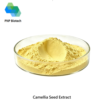 Camellia Seed Extract
