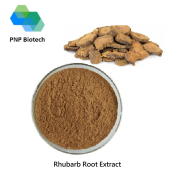 Rhubarb Root Extract